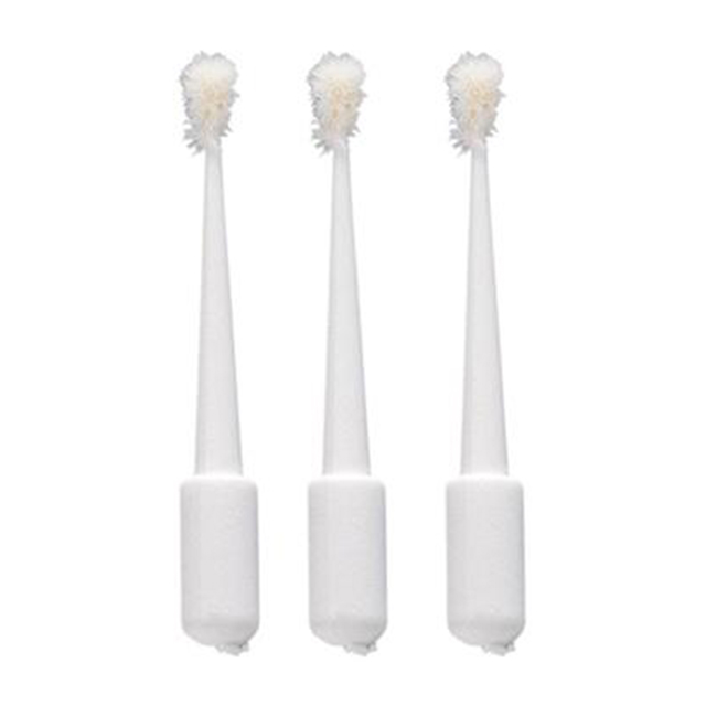 EVE Brush WS1 X1